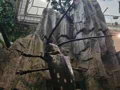 -上海科技馆(地铁站)