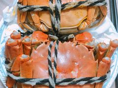 -乡乐园蟹庄·阳澄湖农家乐