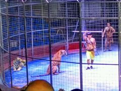 -西安秦岭野生动物园