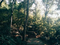 -九曜山