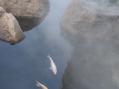 -华声天桥民俗文化园