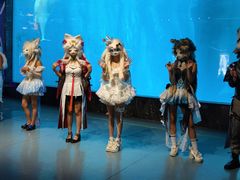 -海合安成都极地海洋公园