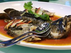 -上海外滩茂悦大酒店