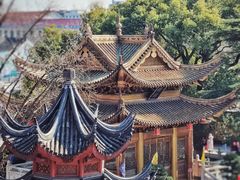 -上海东林寺(金山区)