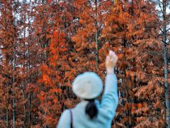 -白鹭湾湿地公园