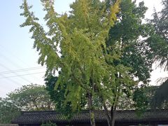 -綦江古剑山