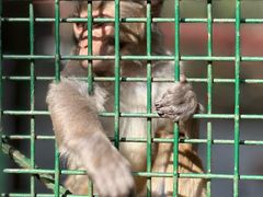 -南京金牛湖风景区