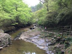 -黎坪国家森林公园