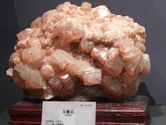 -湖南省地质博物馆