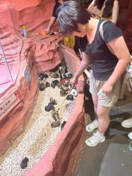 -Zoolung Zoolung动物主题公园(海信广场店)