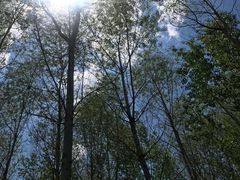 -东郊湿地公园