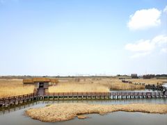 -宁波杭州湾国家湿地公园