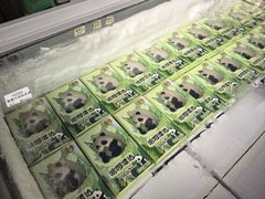 -中国大熊猫保护研究中心雅安碧峰峡基地