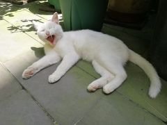 -爱挞儿(钟楼店)