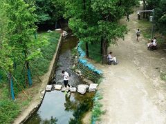 -白水寺森林公园