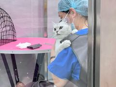 -宠福鑫康馨动物医院·骨科·眼科