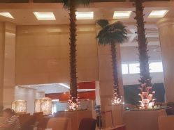 -光大会展中心国际大酒店-宴会厅