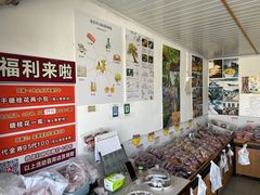 -苏州市吴中区光福窑上花果蜜饯厂