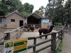 -昆明动物园
