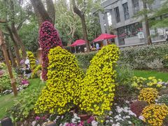 -共青国家森林公园-售票处