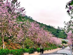 -小南山公园