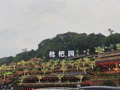 -枇杷园食为鲜火锅(南山店)