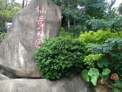 -仙岳公园