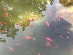 -林海公园