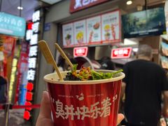 -黑色经典臭豆腐·湖南特产(潇湘文化店)