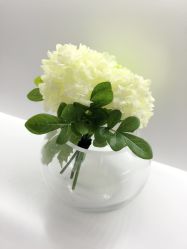 -HQ半永久纹绣纹眉