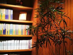 -二酉书店TOYOU BOOKS