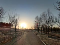 -马家湾湿地公园