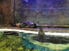 -成都浩海立方海洋公园