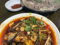 -小杨翘脚牛肉