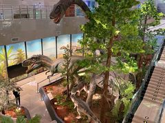 -湖南省地质博物馆