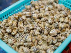 -海大大蒸汽海鲜餐厅·粤菜·特色小炒(欢乐颂店)