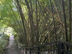 -阿哈湖国家湿地公园