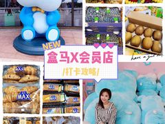 -盒马X会员店(上海森兰商都店)