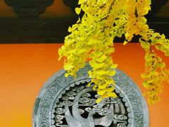 -龙华寺