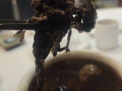 -山泉公馆酒家(珠江新城店)