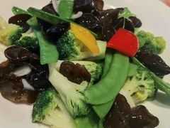 -大树餐厅(益田假日店)