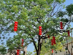-广州神农草堂中医药博物馆