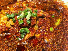 -柴窝堡22号辣子鸡·传承新疆菜