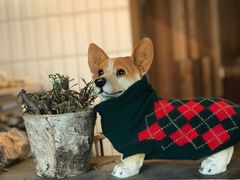 -佐佑帐篷环游记(南锣鼓巷店)