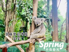 -广州长隆野生动物世界