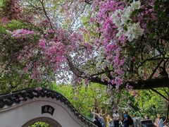 -深圳国际园林花卉博览园