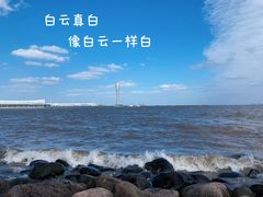 -上海吴淞炮台湾国家湿地公园