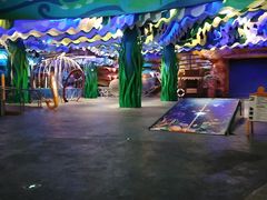 -青岛嘉年华主题乐园