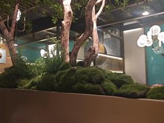 -鲜潭蒸汽石锅鱼(五道口购物中心店)