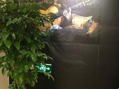 -何顺华吉他沙龙